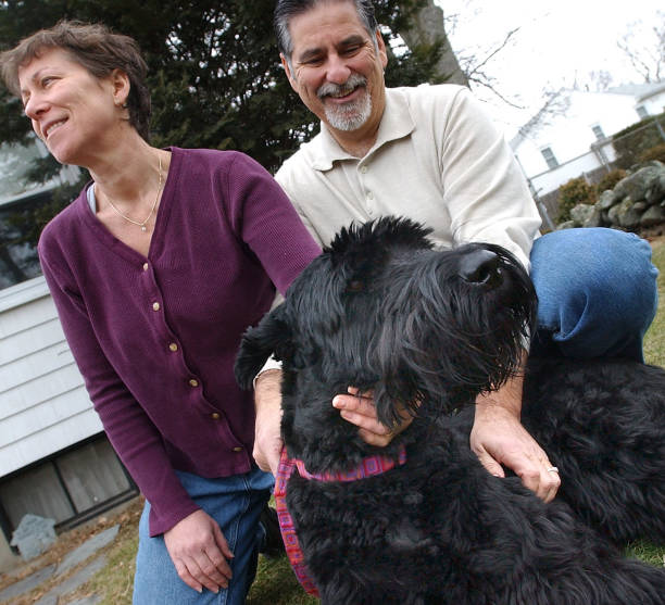 Giant Schnoodle