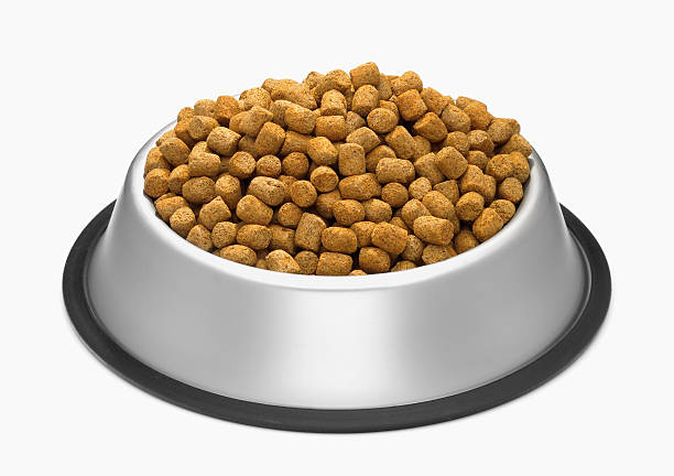 Dog Food