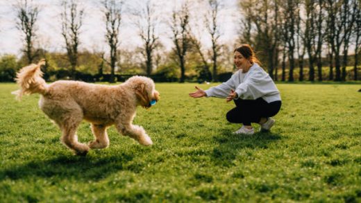 Pet Ownership