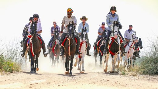 Marwari Horses